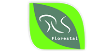 Cliente QI